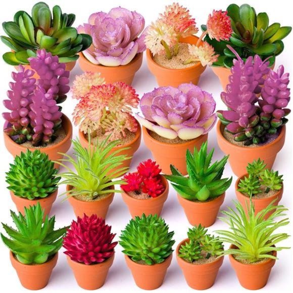 24 Mini Artificial Succulent Plants Unpotted Fake Succulents Realistic Plastic - Picture 6 of 6